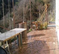 Case - Casa indipendente montia