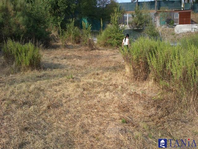 Case - Terreno agricolo fosdinovo
