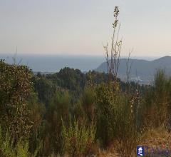 Case - Terreno agricolo fosdinovo