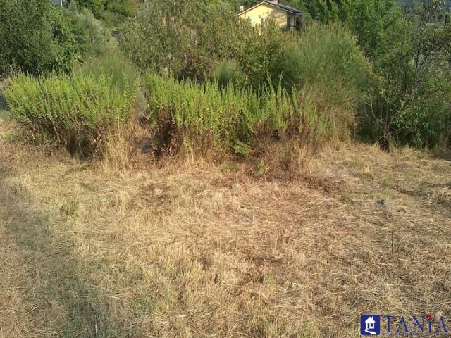 Case - Terreno agricolo fosdinovo