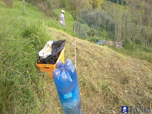 Case - Appartamento con giardino a bedizzano