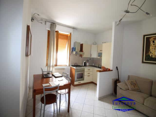 Case - Camaiore -  villa indipendente con grande giardino, piscina e depandance