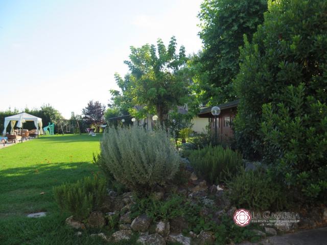 Case - Camaiore -  villa indipendente con grande giardino, piscina e depandance