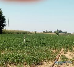 Case - Terreno agricolo con abitazione e capannone