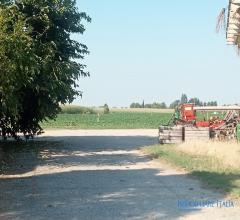 Case - Terreno agricolo con abitazione e capannone