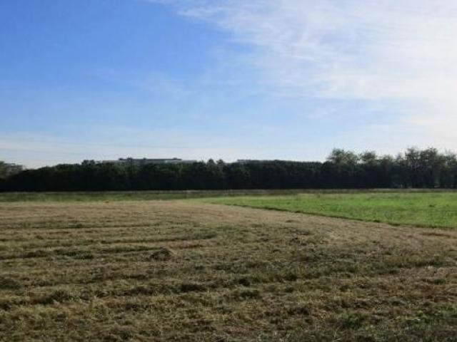 Case - Terreno - frazione località rancate