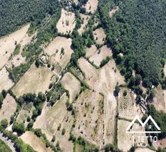 Case - Terreno di ampia metratura con rudere