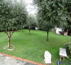 Case - Villa ristrutturata sulle colline di lucca con piscina e magnifico panorama