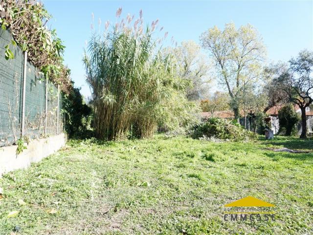 Case - Terreno agricolo in vendita a massa