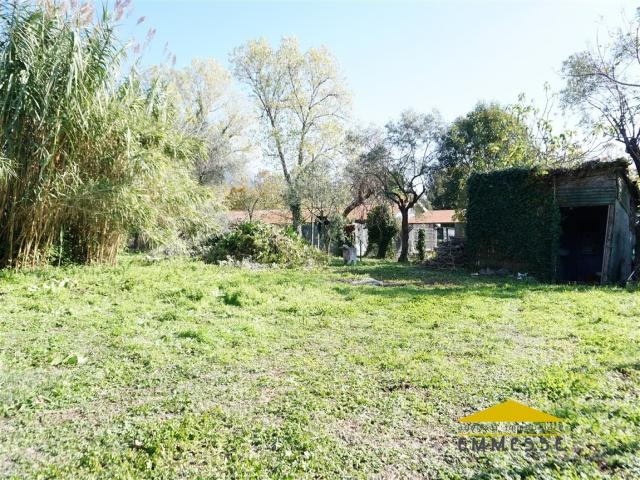 Case - Terreno agricolo in vendita a massa