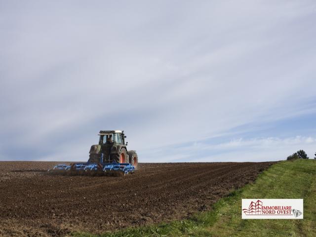 Case - Terreno agricolo a motta visconti