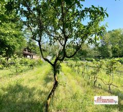 Case - Terreno agricolo a motta visconti