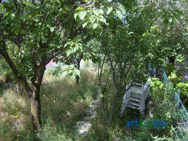 Case - Villino indipendente 3 vani con giardino