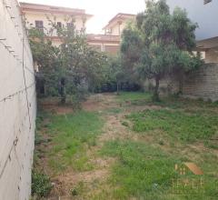Appartamenti in Vendita - Terreno recintato di circa 500mq