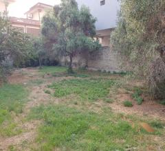 Appartamenti in Vendita - Terreno recintato di circa 500mq