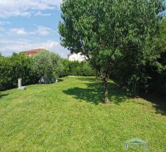 Case - Appartamento con giardino a massa e cozzile