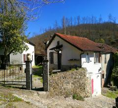 Case - Verde oasi