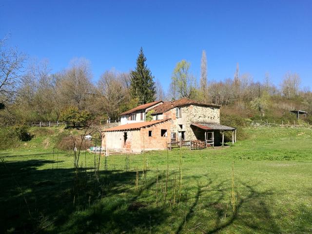 Case - Verde oasi