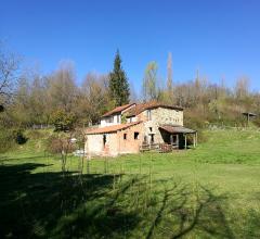 Case - Verde oasi