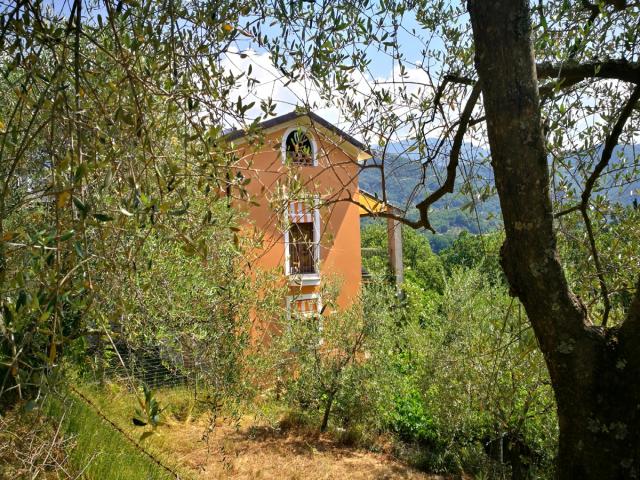 Appartamenti in Vendita - Casa elegante (video)
