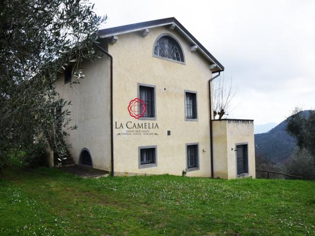 Case - Casolare in vendita sulle colline tra lucca e camaiore