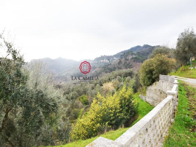 Case - Casolare in vendita sulle colline tra lucca e camaiore