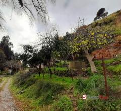 Terreno agricolo con acqua sorgiva e rudere rif. vsa121