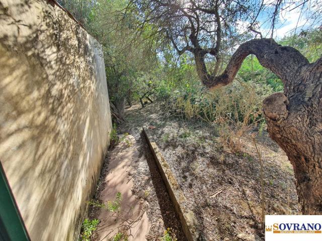 Appartamenti in Vendita - Monreale/acquapark: villetta con ampio spazio esterno