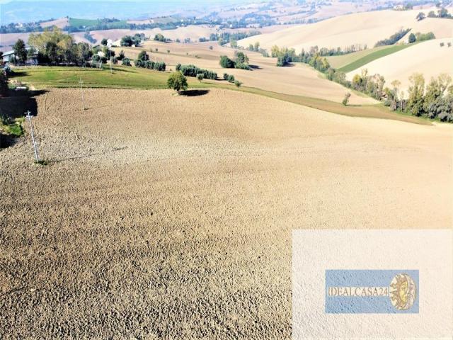 Appartamenti in Vendita - Terreno agricolo in vendita a montefano montefanovecchio