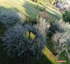 Carrara loc.tà bonascola villa indipendente con giardino