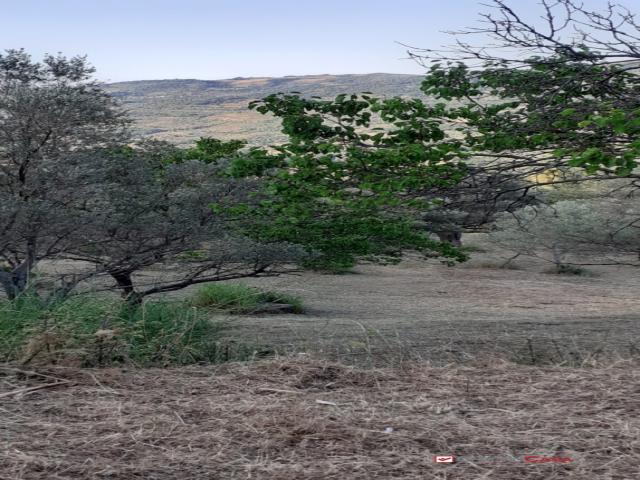 Vsp305 - san fratello, terreno di 3000 mq con fabbricato rurale di 70mq