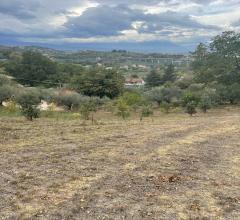 Appartamenti in Vendita - Terreno edificabile in vendita a chieti periferia