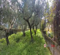 Pianotorre, panoramico terreno con rudere