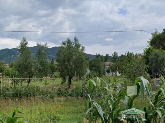 Case - Terreno edificabile a monsummano terme