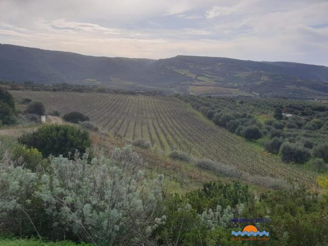 Terreno agricolo con annesso locale deposito