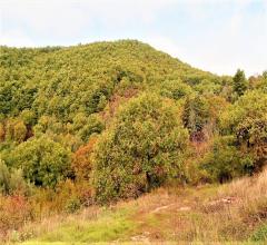 Appartamenti in Vendita - Rustico in vendita a magione periferia