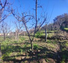 Case - Pozzuoli - terreno agricolo in vendita