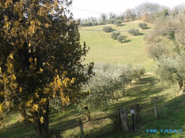 Casa di ampia metratura con 22.000 mq di terreno e possibilità di cambio destinazione.