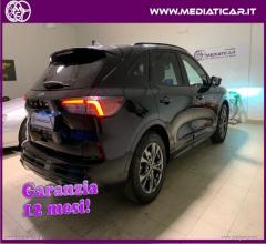 Auto - Ford kuga 1.5 ecoblue 120 cv aut. 2wd st-line