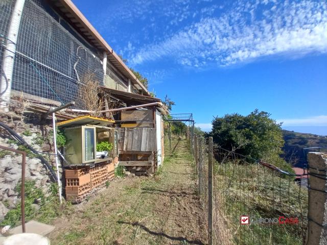 Appartamenti in Vendita - Tipoldo, casa indipendente con ampio terreno