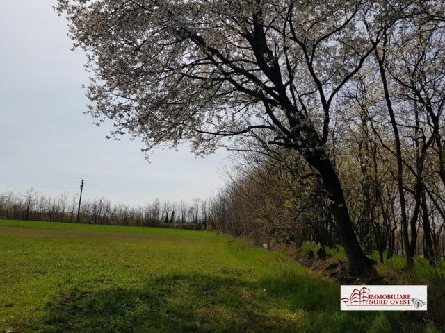 Case - Terreno agricolo bernate