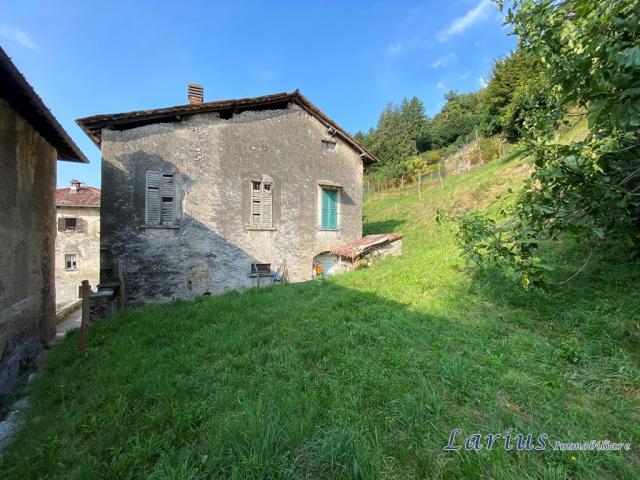 Case - Rustico con terreno