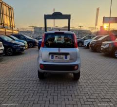 Auto - Fiat panda 0.9 twinair turbo nat. power easy