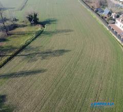 Case - Terreno agricolo in centro