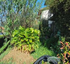 Case - Villetta con giardino a monsummano terme