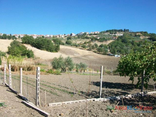 Case - Terreno agricolo, comoda posizione