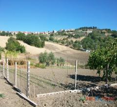 Terreno agricolo, comoda posizione