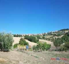 Case - Terreno agricolo, comoda posizione