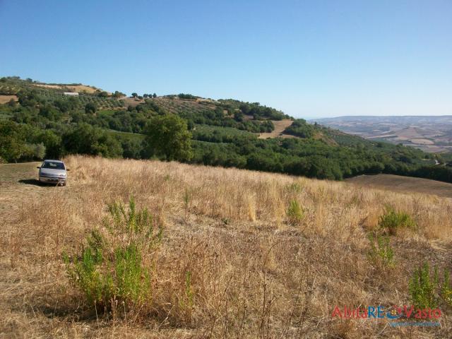 Case - Terreno agricolo, comoda posizione