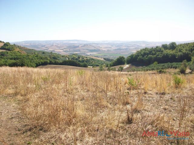 Case - Terreno agricolo, comoda posizione